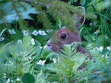011-ExitNature.jpg