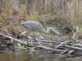 022-ExitNature.jpg