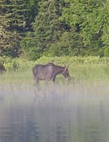 024-ExitNature.jpg