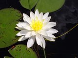 046-ExitNature.jpg