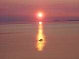 058-ExitNature.jpg