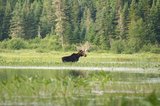 062-ExitNature.jpg